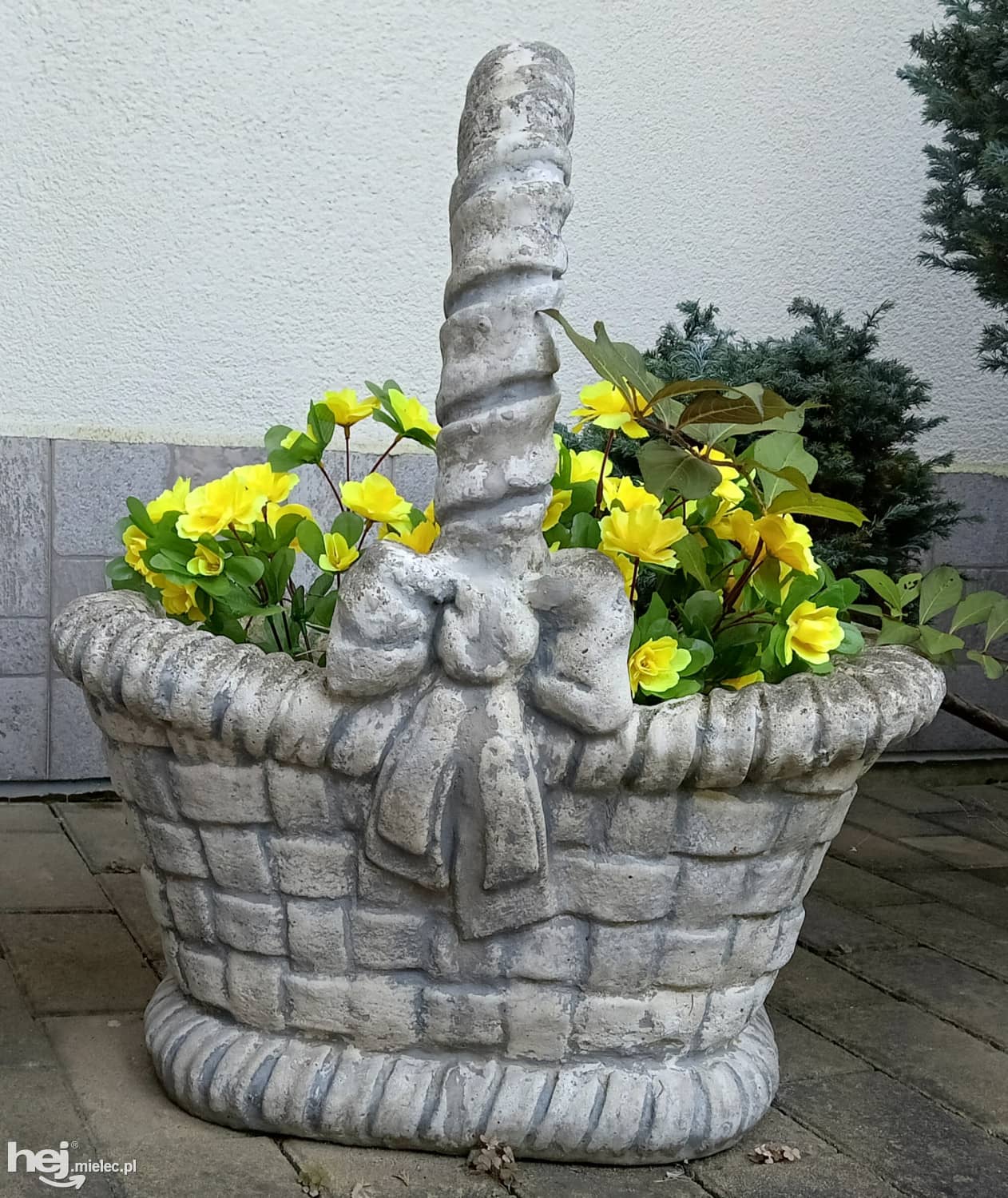 Zdjęcie
