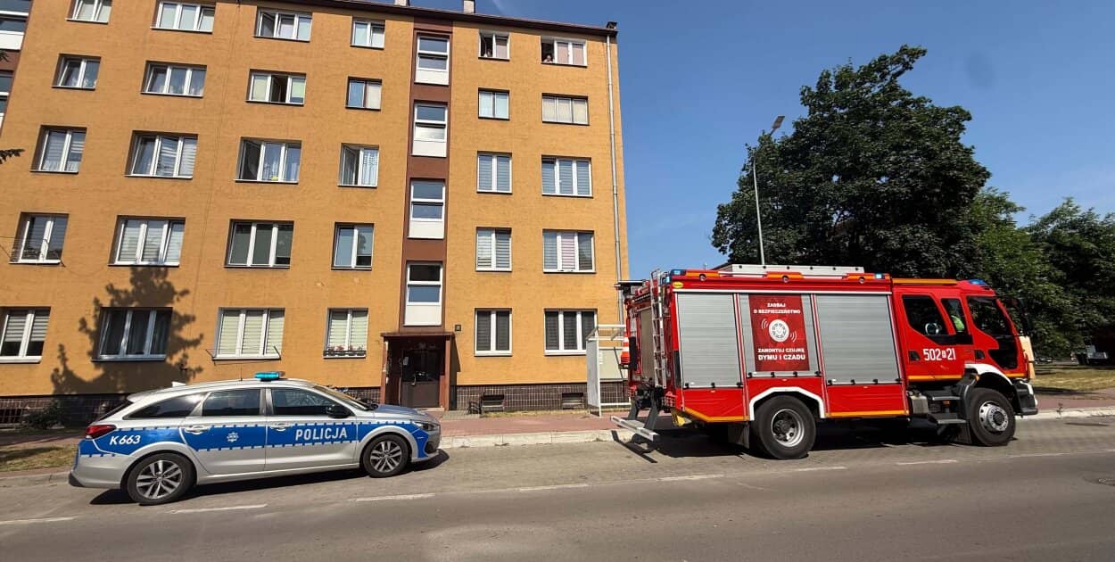 Zdjęcie