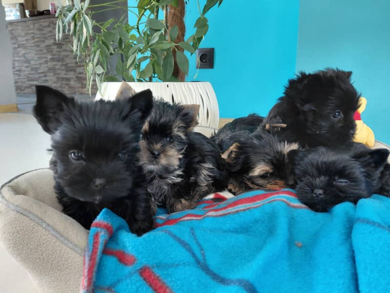 Zdjęcie