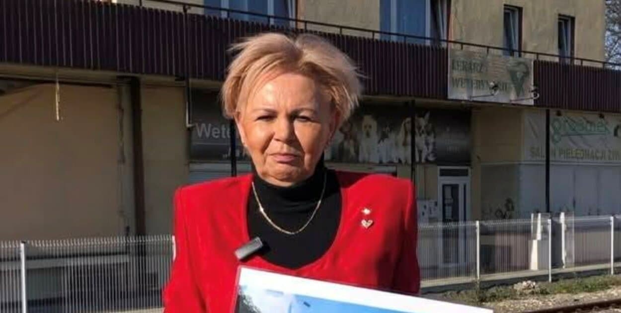 Zdjęcie