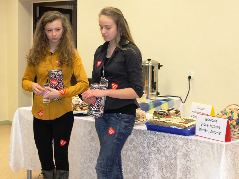 Wielkiej Orkiestry Świątecznej Pomocy zagrała także na terenie Gminy Borowa