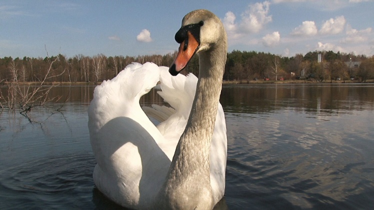 Sezon wędkarski otwarty! Pierwsze zawody za nami