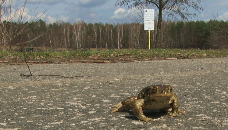 Sezon wędkarski otwarty! Pierwsze zawody za nami