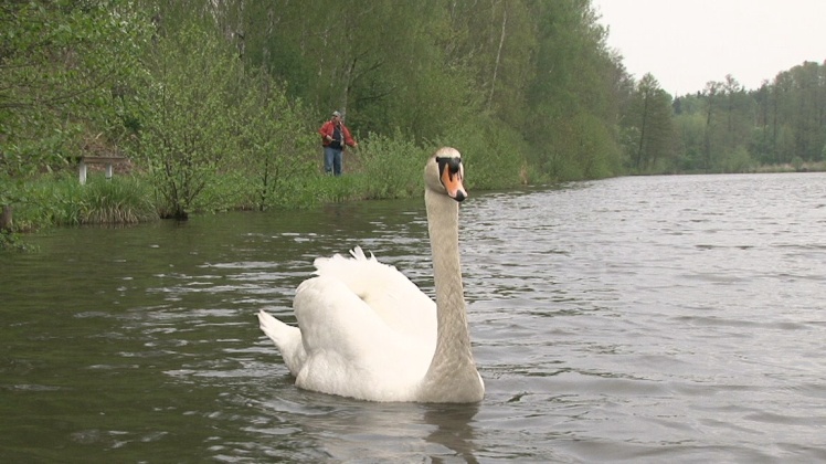 Wędkarze w swoim żywiole. Udane zawody w Rzemieniu