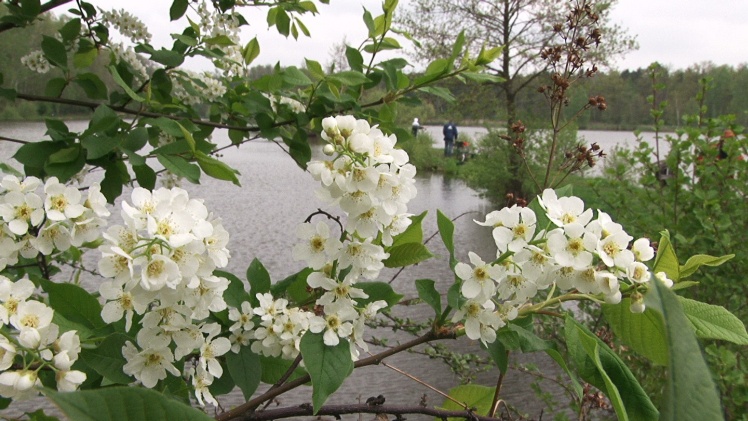 Wędkarze w swoim żywiole. Udane zawody w Rzemieniu