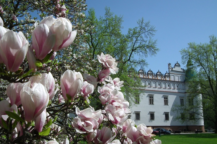 42 Patriotyczny Rajd ,,Pąsowej Róży?? Oddziału Miejskiego PTTK Mielec