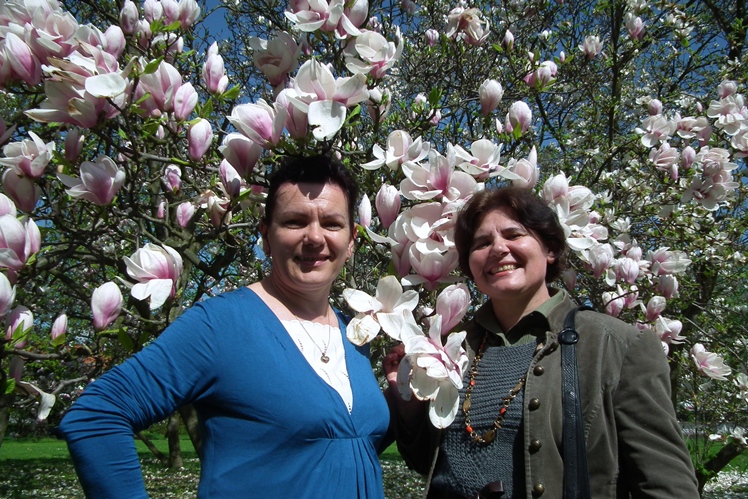 42 Patriotyczny Rajd ,,Pąsowej Róży?? Oddziału Miejskiego PTTK Mielec