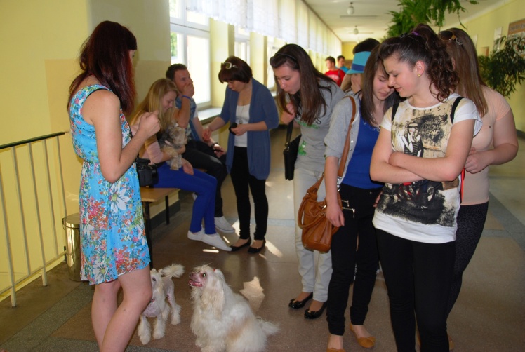 Dzień Otwarty w Zespole Szkół CKR w Rzemieniu