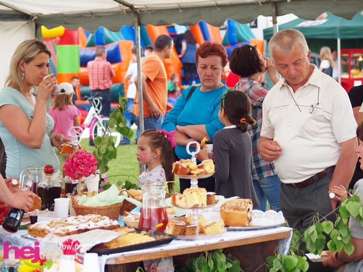 Familiada na lądowisku. Trwają Majowe Dni Tuszowa Narodowego
