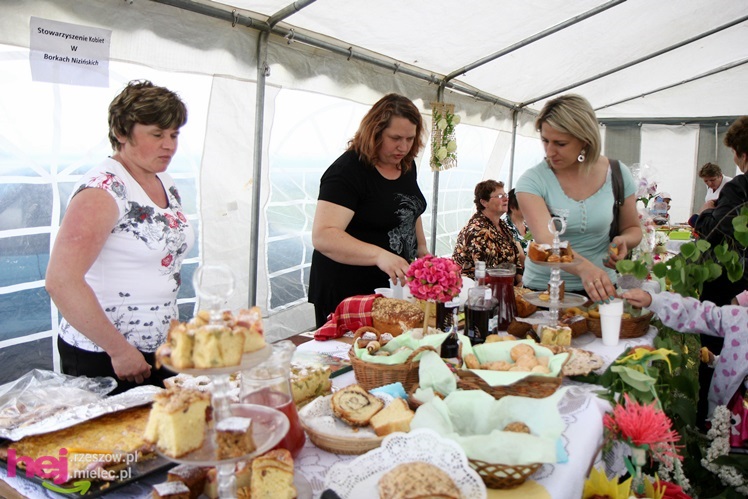 Familiada na lądowisku. Trwają Majowe Dni Tuszowa Narodowego