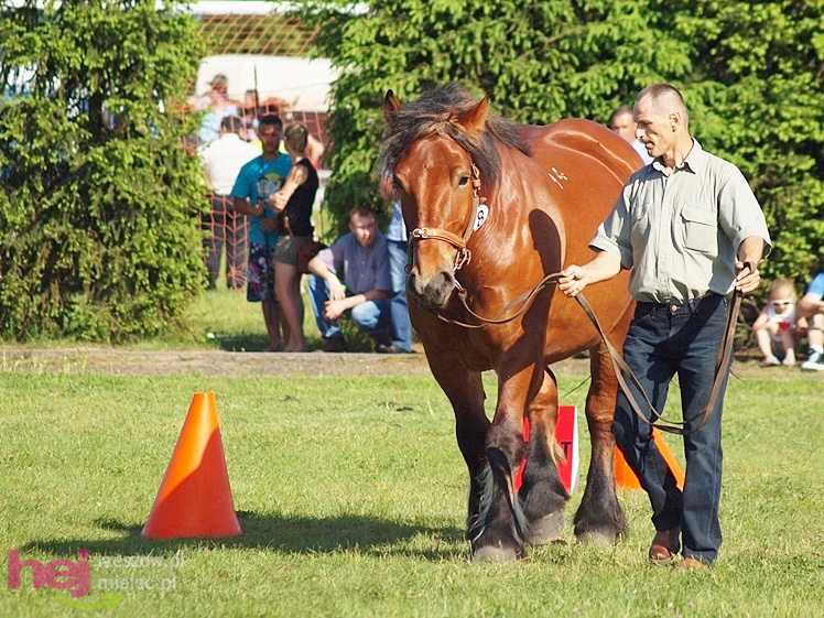 V Parada Konna w Żarówce - wystawa klaczy