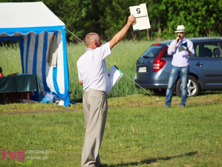 V Parada Konna w Żarówce - wystawa klaczy