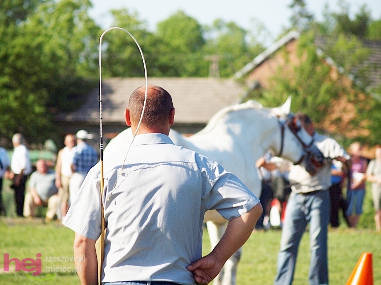 V Parada Konna w Żarówce - wystawa klaczy