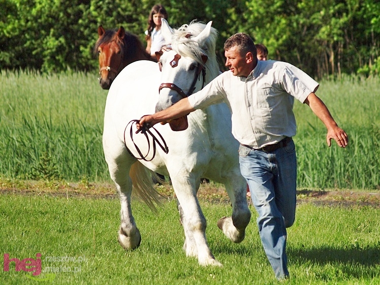 V Parada Konna w Żarówce - wystawa klaczy
