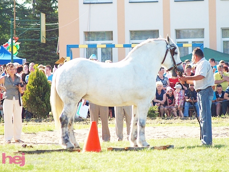 V Parada Konna w Żarówce - wystawa klaczy