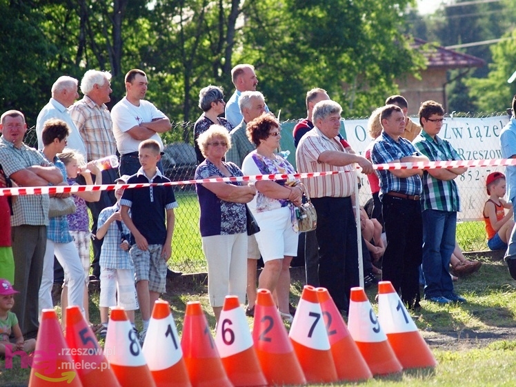 V Parada Konna w Żarówce - wystawa klaczy