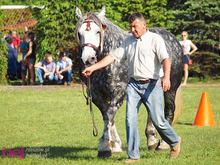 V Parada Konna w Żarówce - wystawa klaczy