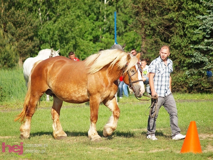 V Parada Konna w Żarówce - wystawa klaczy
