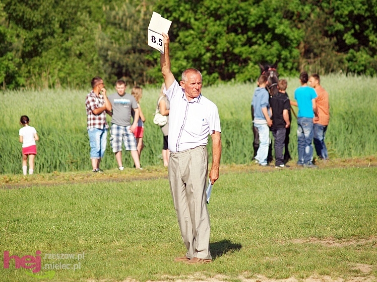 V Parada Konna w Żarówce - wystawa klaczy