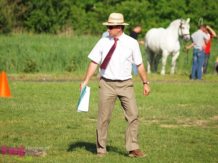 V Parada Konna w Żarówce - wystawa klaczy