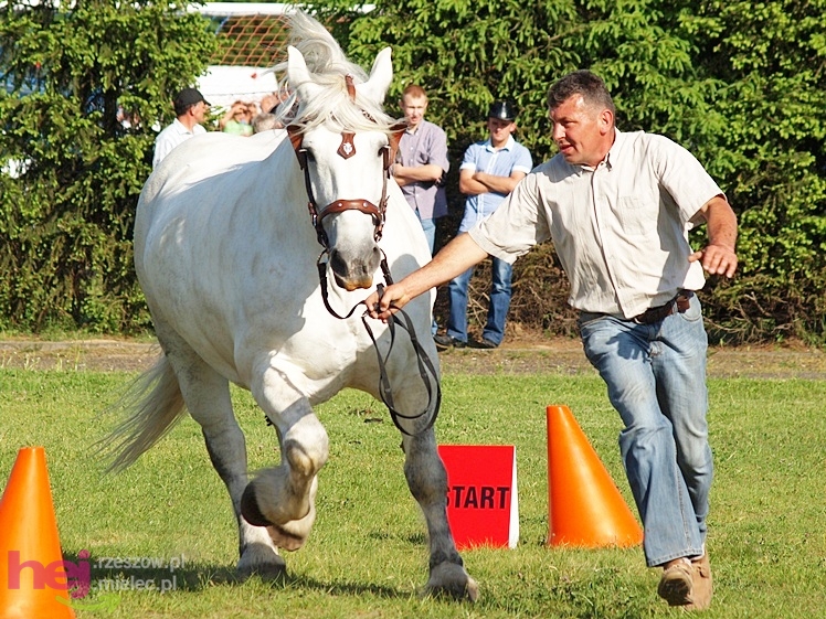 V Parada Konna w Żarówce - wystawa klaczy