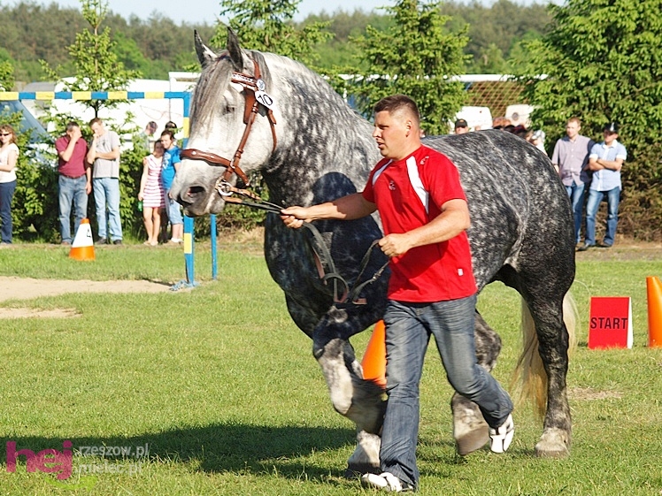 V Parada Konna w Żarówce - wystawa klaczy