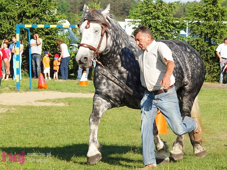 V Parada Konna w Żarówce - wystawa klaczy