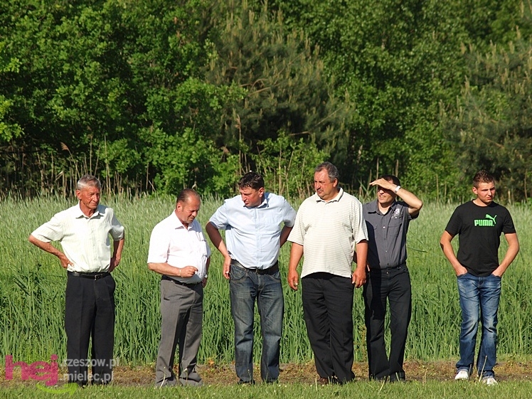 V Parada Konna w Żarówce - wystawa klaczy