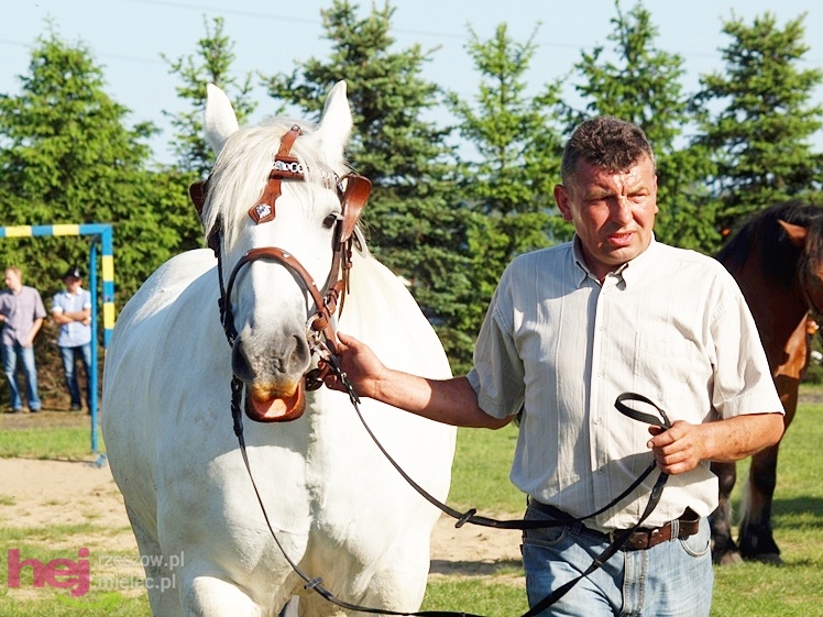 V Parada Konna w Żarówce - wystawa klaczy