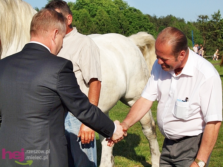 V Parada Konna w Żarówce - wystawa klaczy