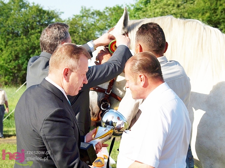V Parada Konna w Żarówce - wystawa klaczy