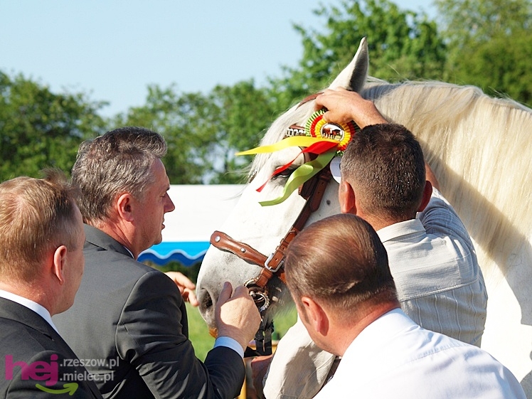 V Parada Konna w Żarówce - wystawa klaczy