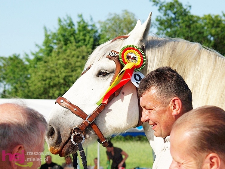 V Parada Konna w Żarówce - wystawa klaczy