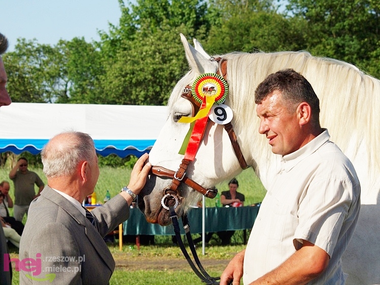 V Parada Konna w Żarówce - wystawa klaczy