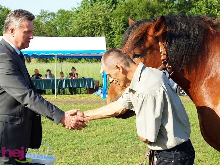V Parada Konna w Żarówce - wystawa klaczy