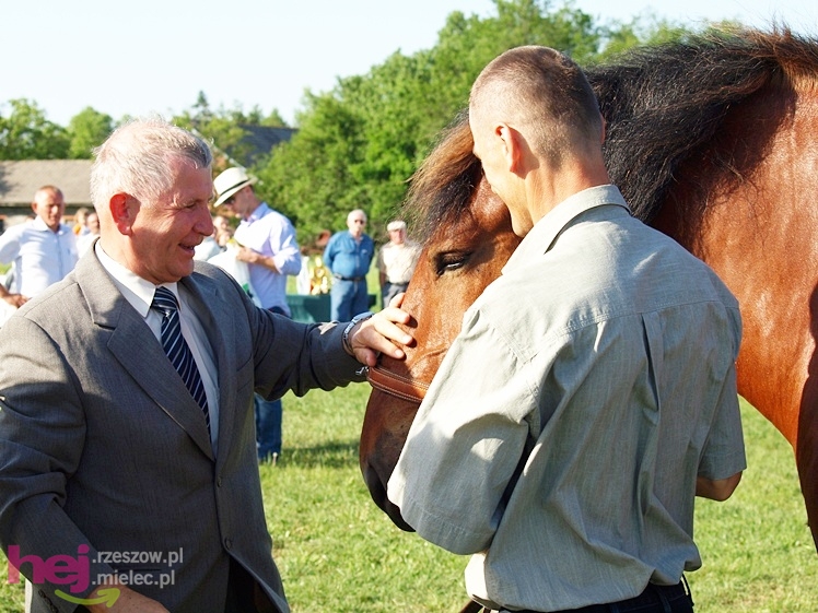 V Parada Konna w Żarówce - wystawa klaczy