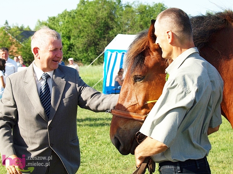 V Parada Konna w Żarówce - wystawa klaczy