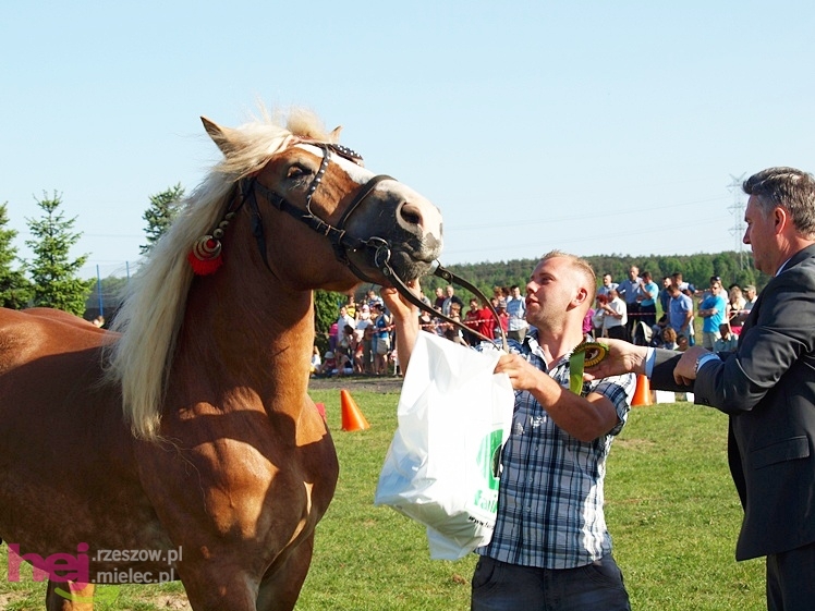 V Parada Konna w Żarówce - wystawa klaczy