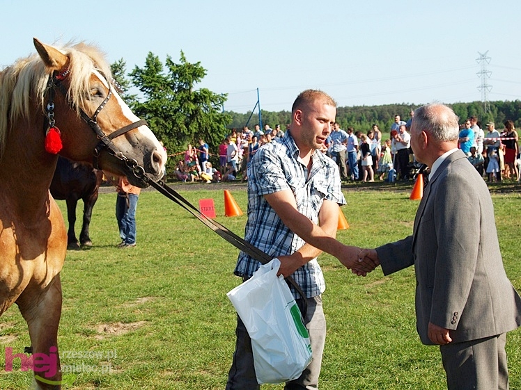 V Parada Konna w Żarówce - wystawa klaczy