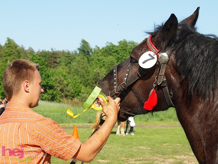 V Parada Konna w Żarówce - wystawa klaczy