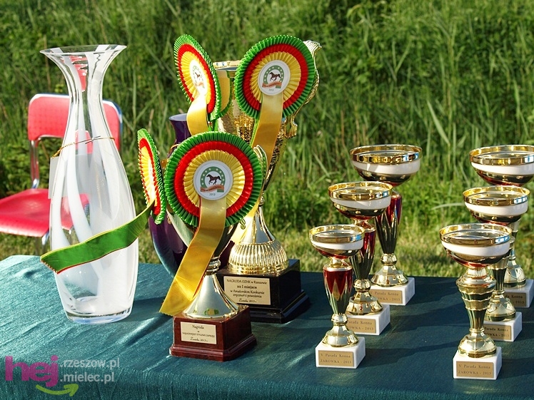 V Parada Konna w Żarówce - wystawa klaczy