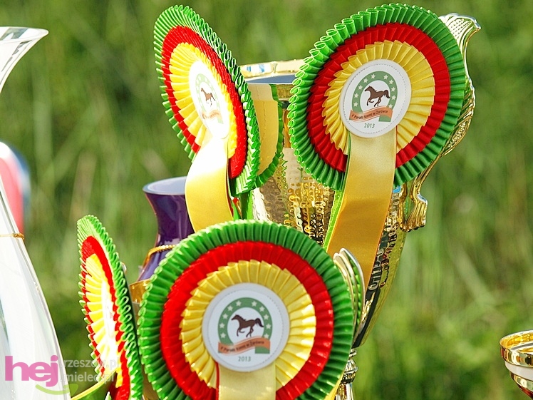V Parada Konna w Żarówce - wystawa klaczy