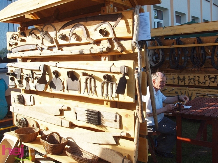 V Parada Konna w Żarówce - konkurs w powożeniu