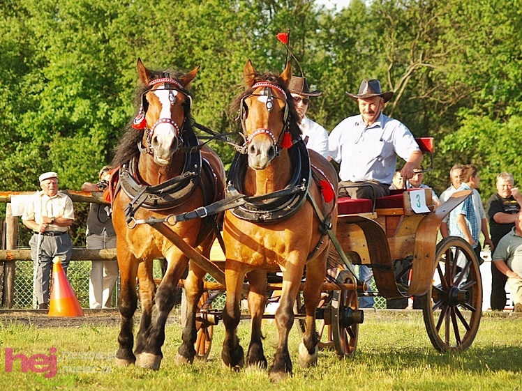 V Parada Konna w Żarówce - konkurs w powożeniu