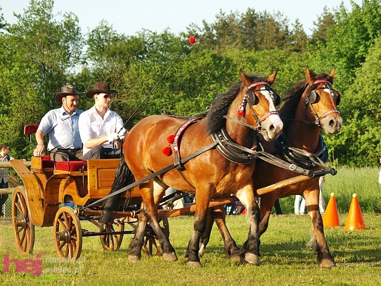 V Parada Konna w Żarówce - konkurs w powożeniu
