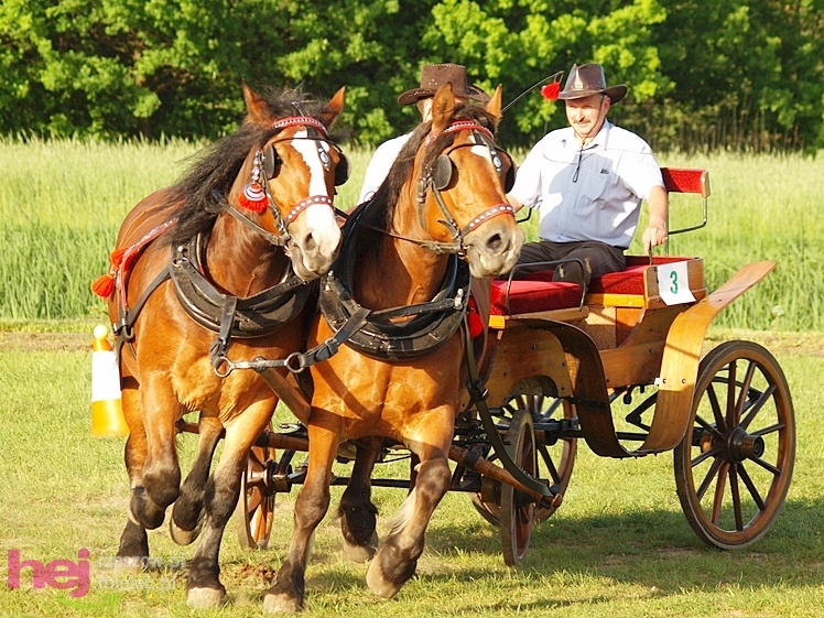 V Parada Konna w Żarówce - konkurs w powożeniu