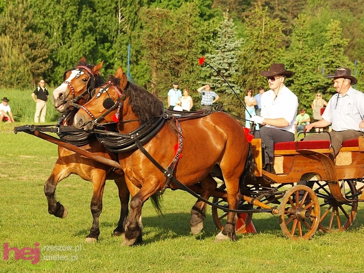 V Parada Konna w Żarówce - konkurs w powożeniu
