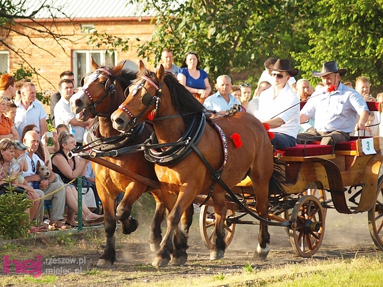 V Parada Konna w Żarówce - konkurs w powożeniu