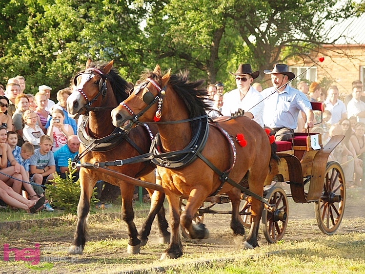V Parada Konna w Żarówce - konkurs w powożeniu