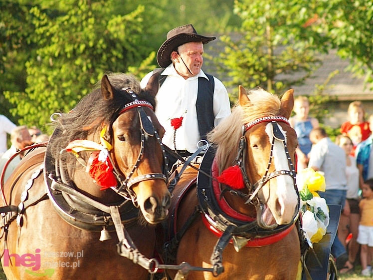 V Parada Konna w Żarówce - konkurs w powożeniu